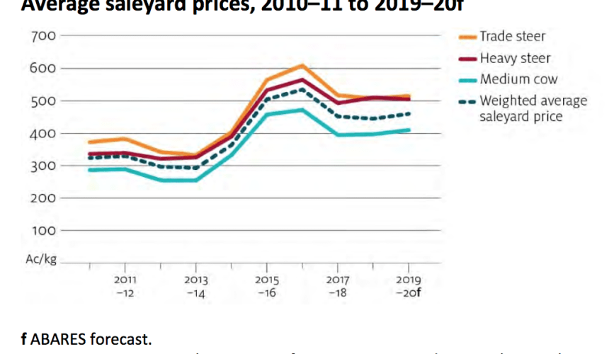 Cattle price rise tipped for 2019-20