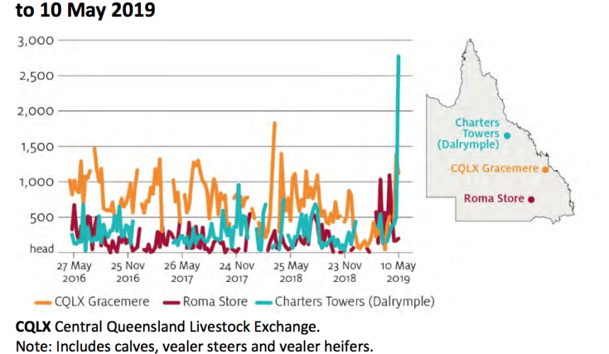 NQ flood cattle losses now estimated at 600,000