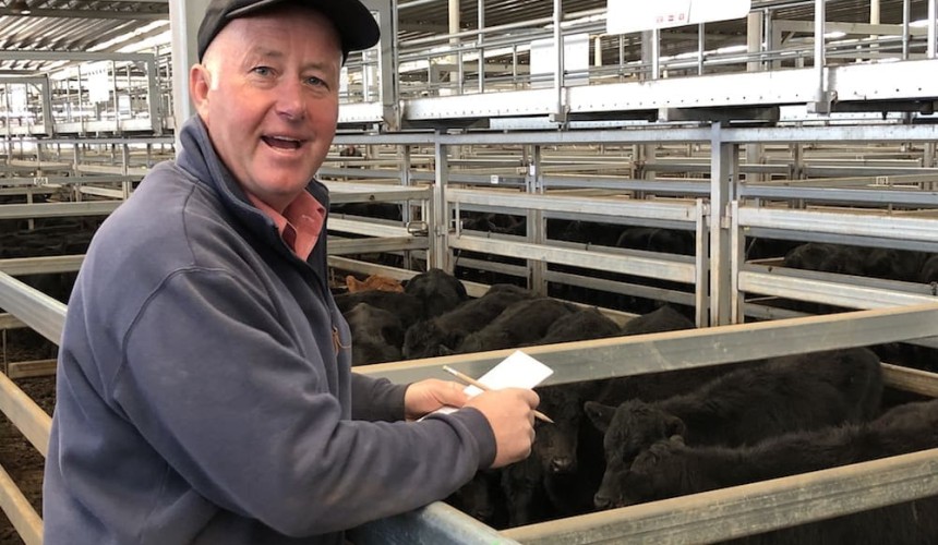 Murray Arnel: NVLX Wodonga – flash in pan, or new dawn? + PICS/VIDEO