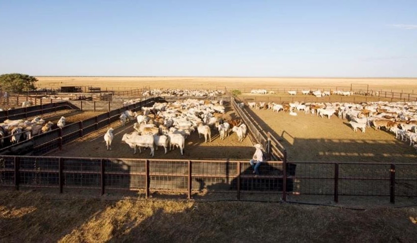 CPC property selldown continues, with Ucharonidge divestment