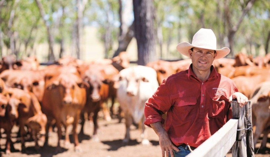 Nuffield Scholar urges promotion of northern Australian grassfed beef