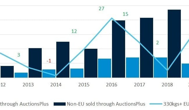 Drought drives 2019 EU cattle premiums higher, AuctionsPlus says