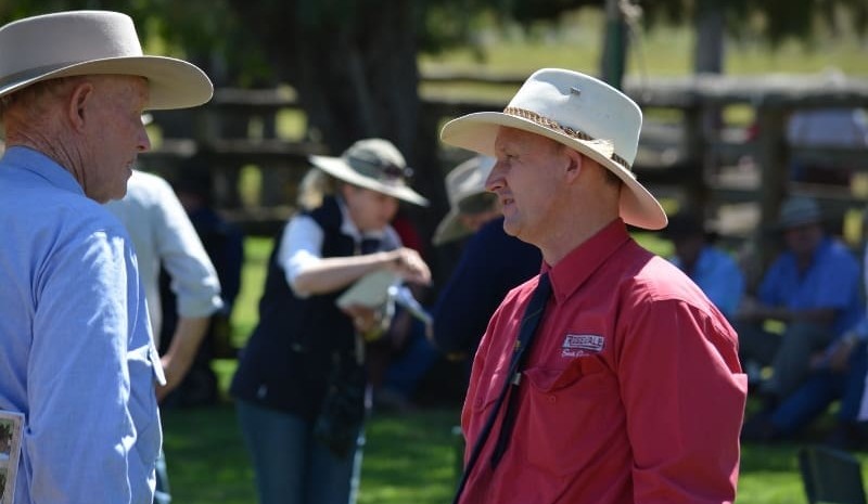 Weekly genetics review: Days to calving – An on-farm focus