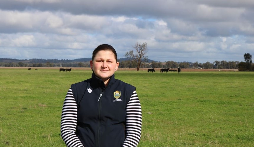 No weightgain compromise in feeder steer pre-vaccination, research shows