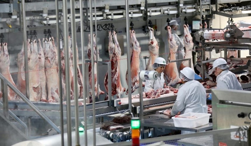 Feedback drives Gundagai Meat Processors’ move into DEXA