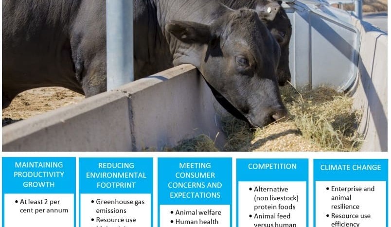 What does the future hold for livestock production in Australia?