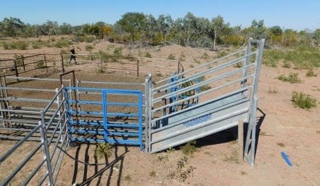 Charges laid over cattle yard theft