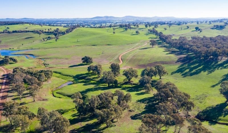 Movement at the Station – Recent property listings
