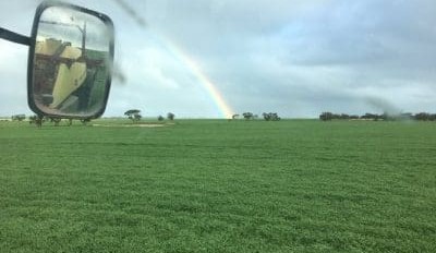 Feedgrain Focus: Trade tightens as eastern crop prospects split