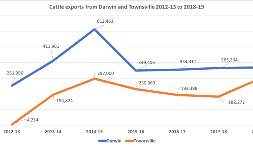 Busy second half predicted for northern cattle exports