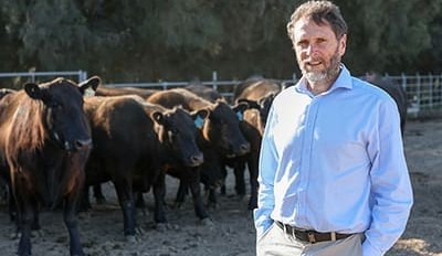 Study shows potential for reduced methane from cows
