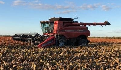 Feedgrain Focus: Prices drop $10/tonne on US softness, WA rain