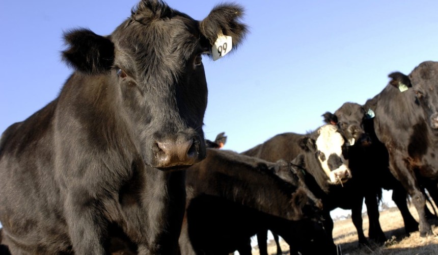 Courses to boost Australia’s biosecurity response capacity