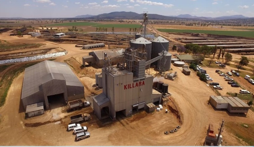 AMG secures Elders’ Killara feedlot for $196m in quality beef program expansion
