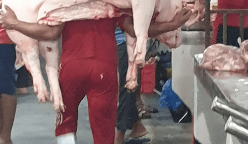 Indonesia reports first African Swine Fever outbreak