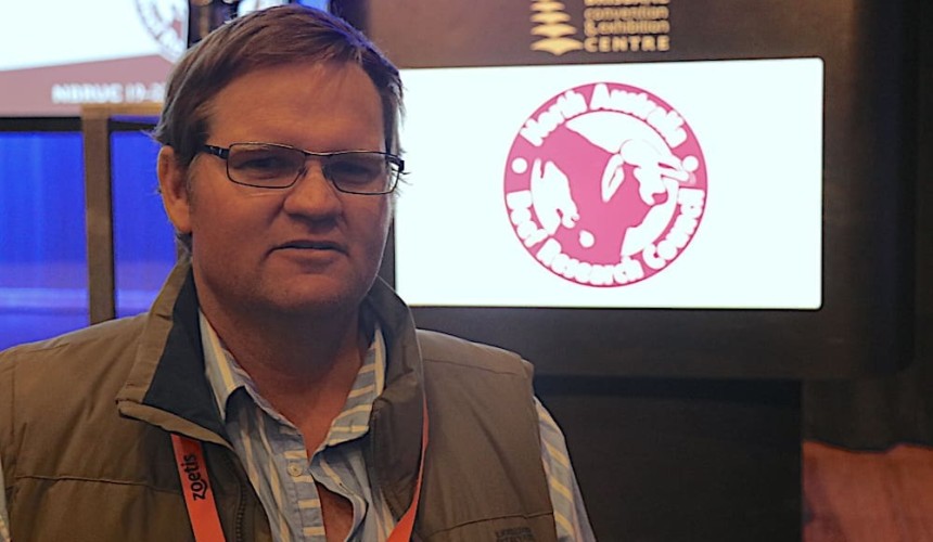 Feeder bull strategy works for NT family cattle operation