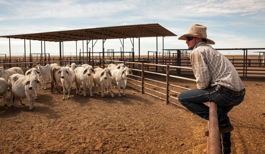 Webinar: Why herd data keeps letting us down, and a new solution to fix it