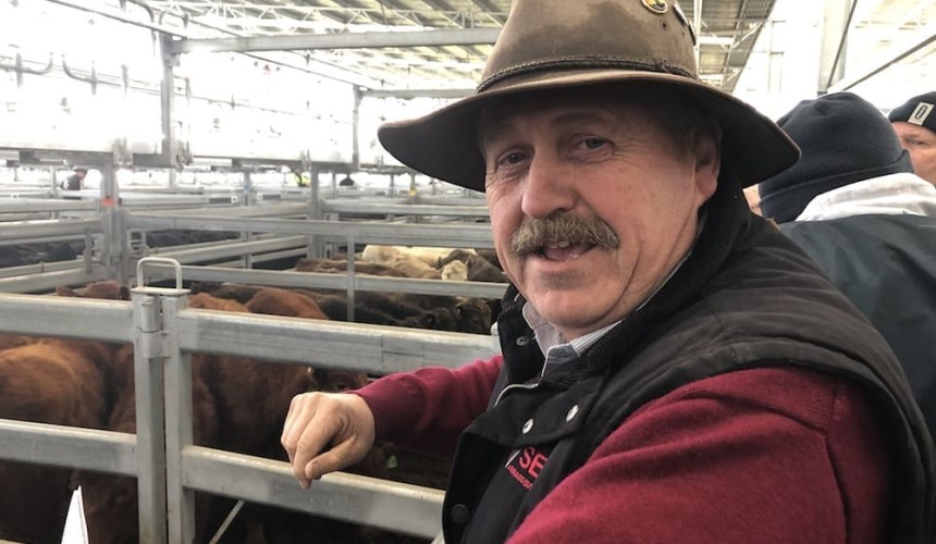 Murray Arnel: Firm to easier for Ballarat steers + VIDEO