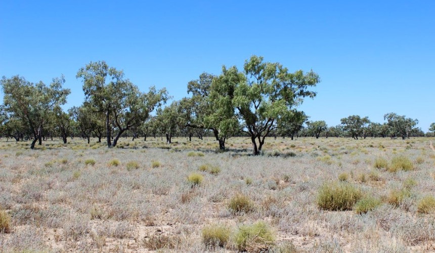 Property: Southern Qld buying for drought mitigation