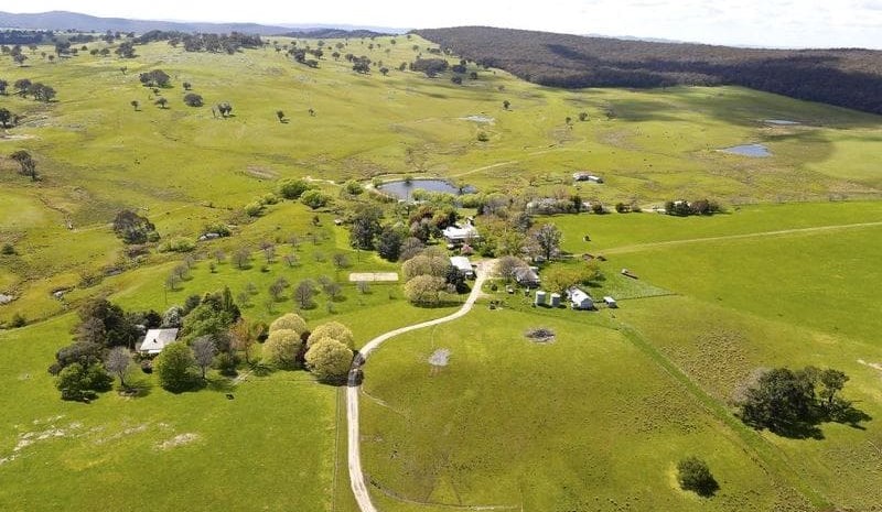 Weekly Property Review: Demand remains strong in NSW Central west and Central tablelands