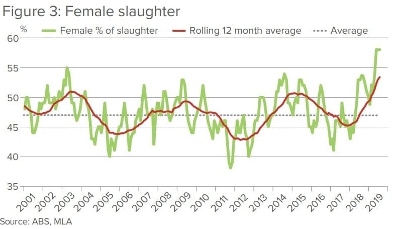 Drought-induced female turnoff reaches record levels