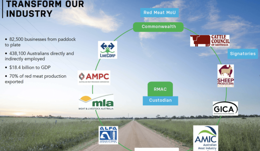 Red meat white paper: Where does Government stand?