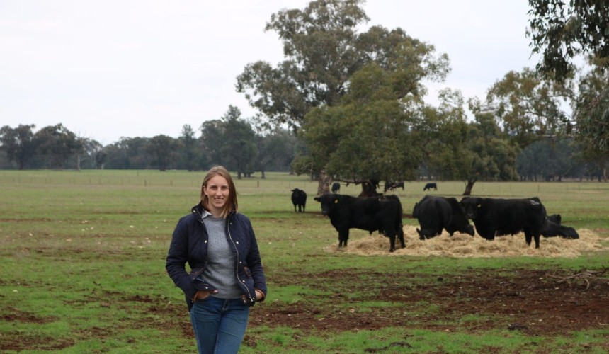 Producer help sought for cattle parasite survey
