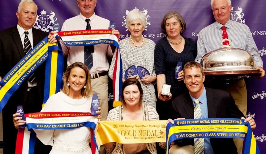 Charolais cross and Angus claim RAS Beef Challenge domestic and 100-day titles + PICTURES