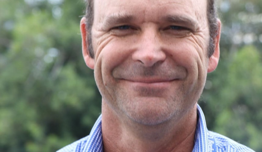 Cattle vets: Qld producers will be among major losers from lay pregnancy testing
