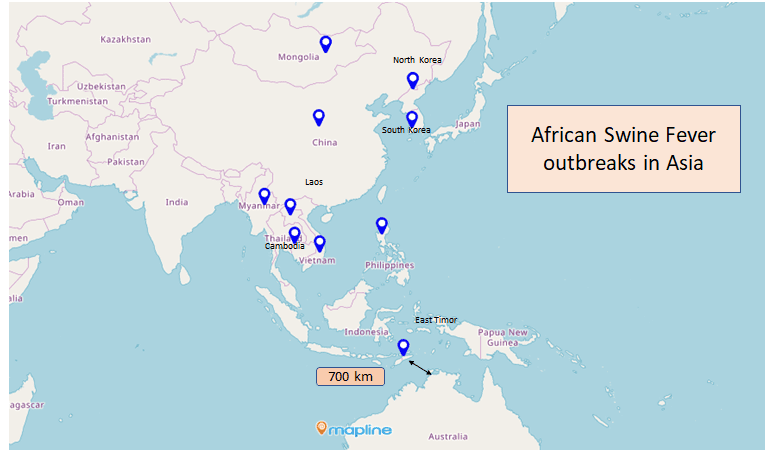 African swine fever warning for Indonesian travellers