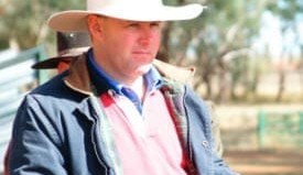 Webinar: Replacement sire selection in 2020