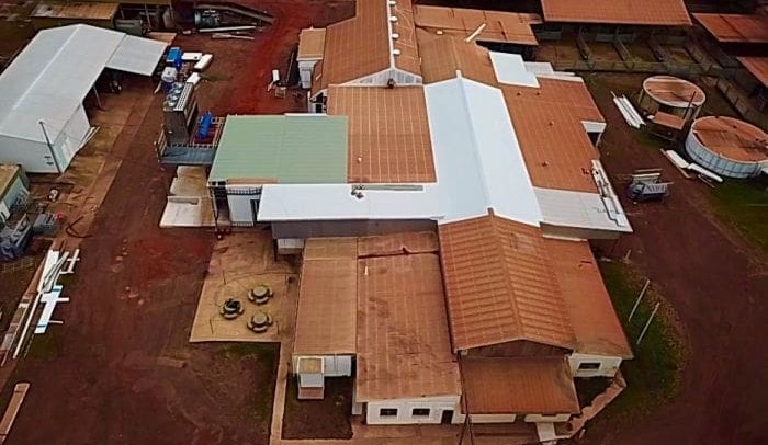 NT buffalo and cattle abattoir opens early, releases first grids