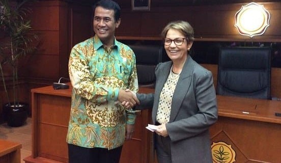 Brazilian meatpackers cleared to export beef to Indonesia