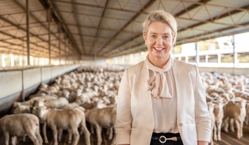 Export opportunities buoy farmers on AgDay