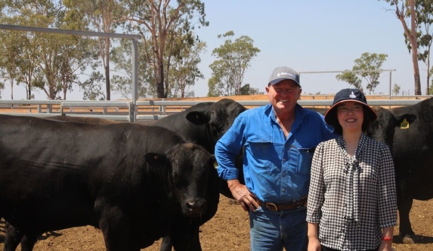 Aus beef exports to China up 65pc so far this year