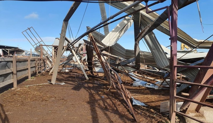 Wild tornado inflicts damage and stock losses at northern Vic’s Peechelba feedlot