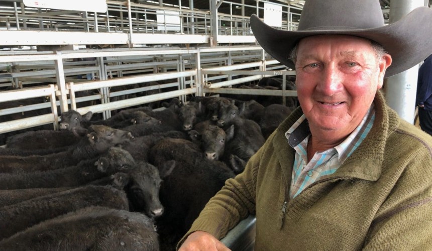 Murray Arnel: NVLX Wodonga – Weight remains king as supply explodes + Pics/VIDEO