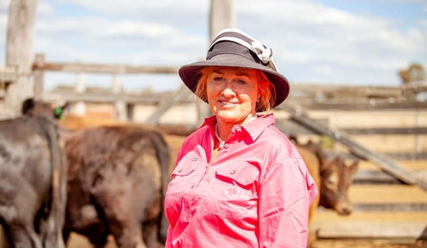Leucaena drives another MSA win for Chinchilla beef producer + VIDEO