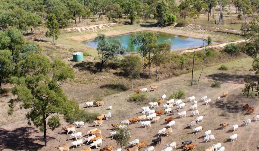 Neighbours active in recent Charters Towers property deals