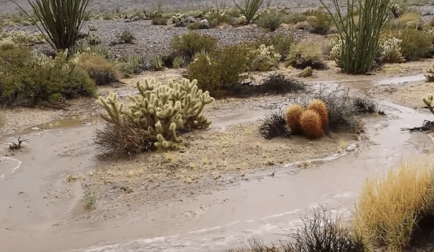 Machine learning to improve water management for rangeland graziers