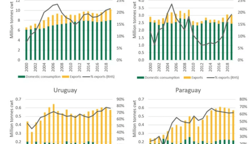 Beef export growth for South America