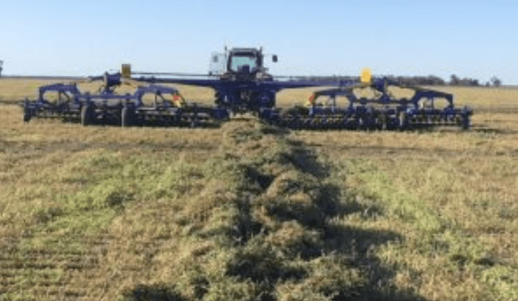 Feedgrain Focus: Shrinking supply lifts southern prices