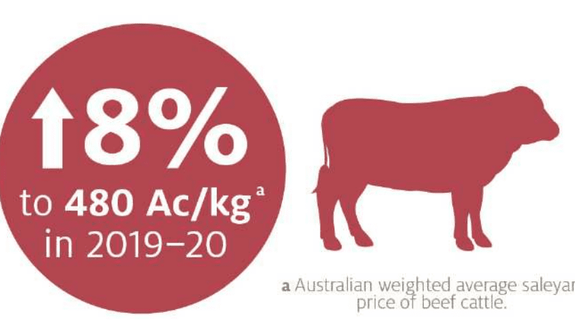 China swine fever impact spurs higher ABARES cattle price forecast