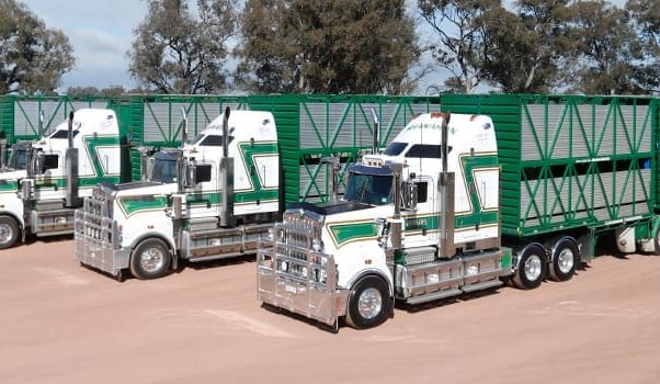 Livestock transporters support charge increase