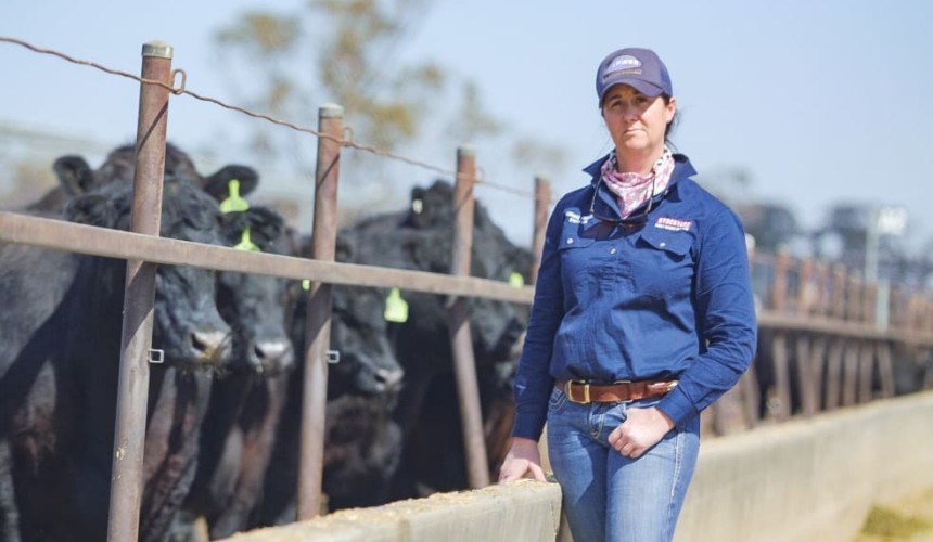 Downs producers top Queensland’s MSA performance awards