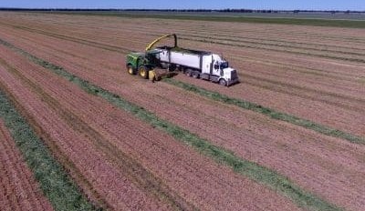 Silage scramble abates as focus turns to summer slot