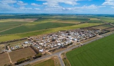 Feedgrain Focus: Values retreat from highs in heated north