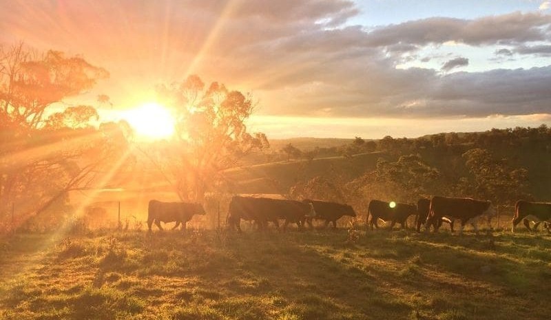 Weekly property review: Southern land prices ‘blowing previous 2008 peak out of the water’