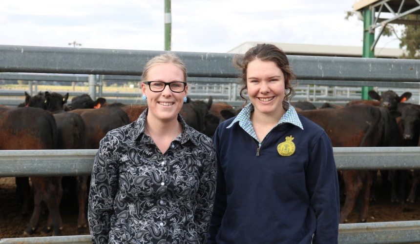 Internships beef up students’ industry knowledge