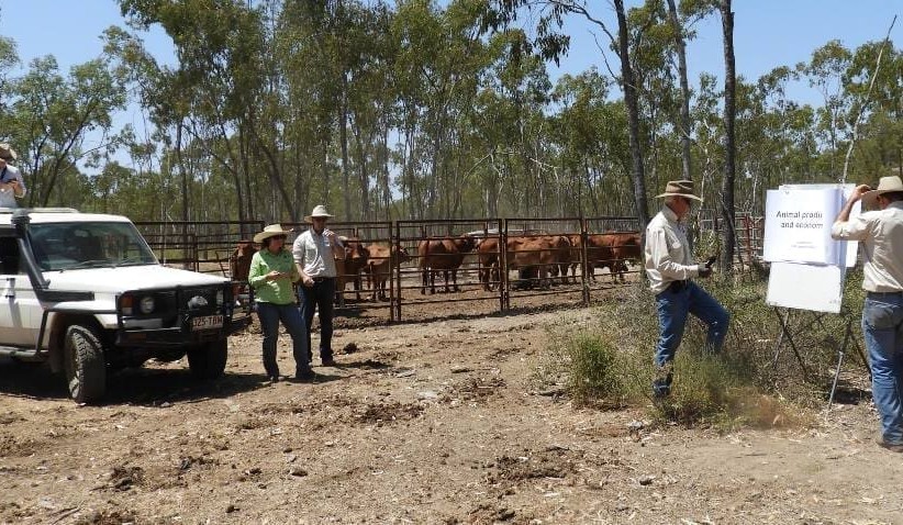 Science meets practice in Australia’s longest running commercial grazing trial